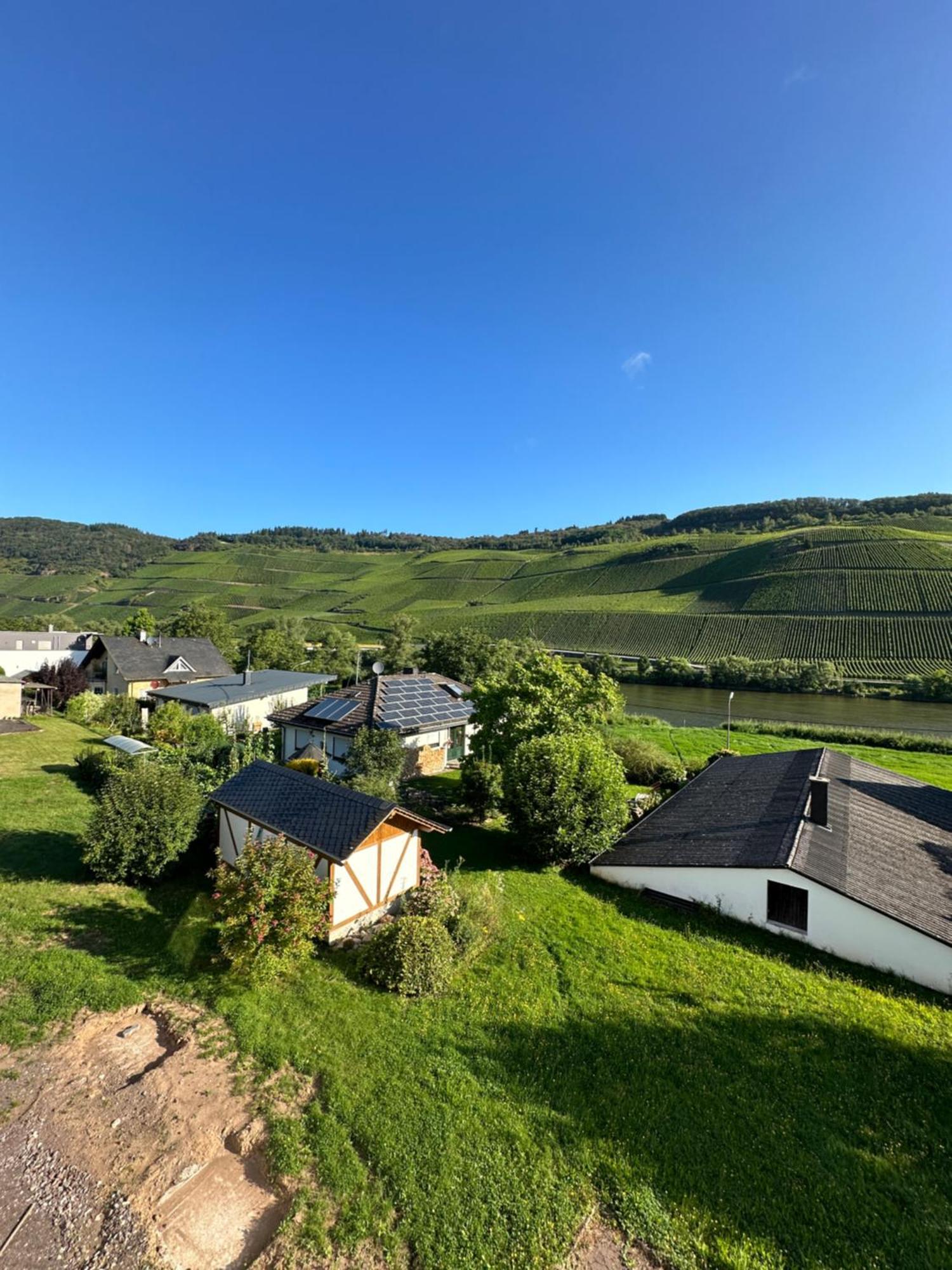 Lösnich Moselappartements By Weingut Marco Adamy מראה חיצוני תמונה