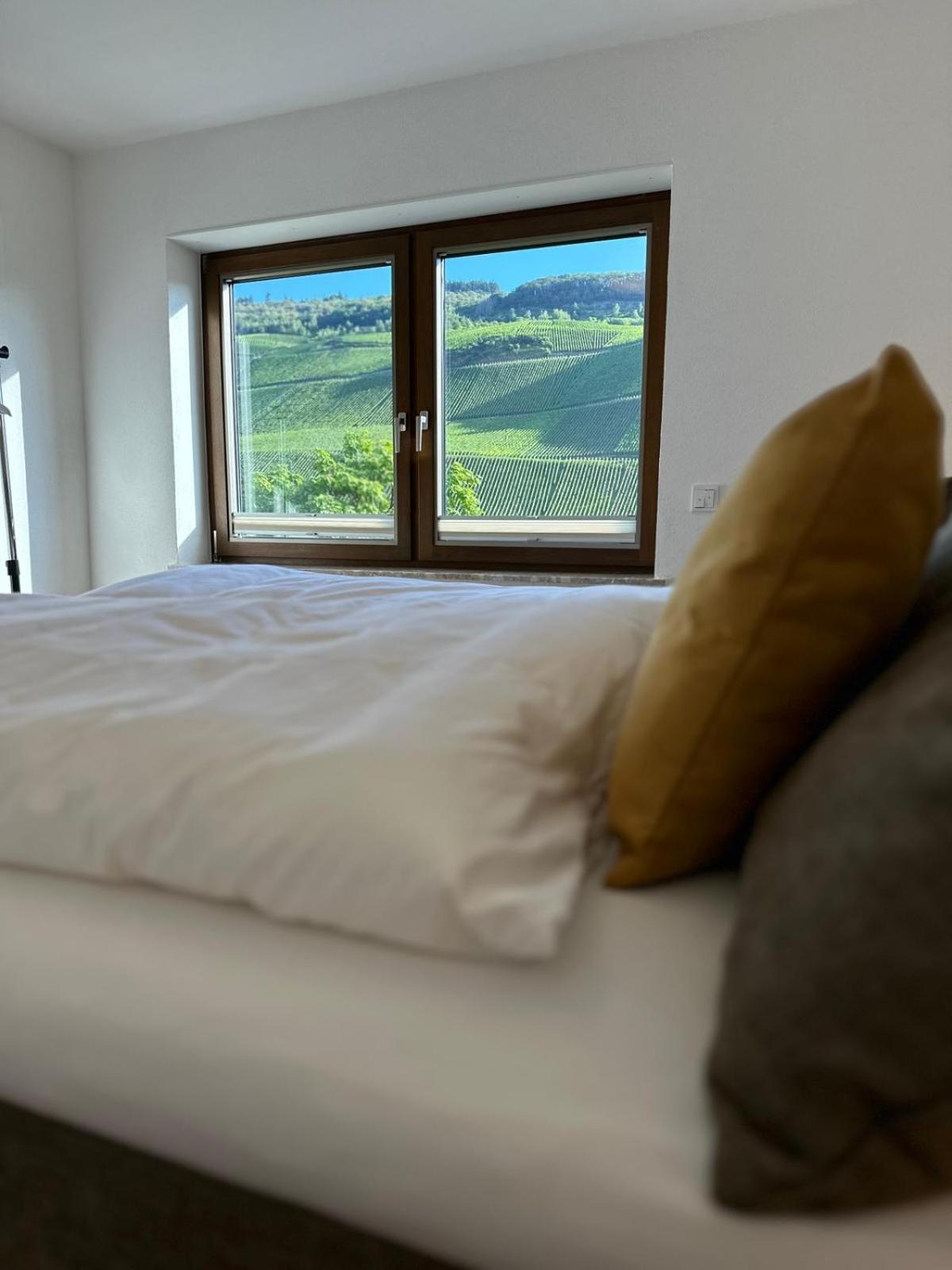 Lösnich Moselappartements By Weingut Marco Adamy מראה חיצוני תמונה