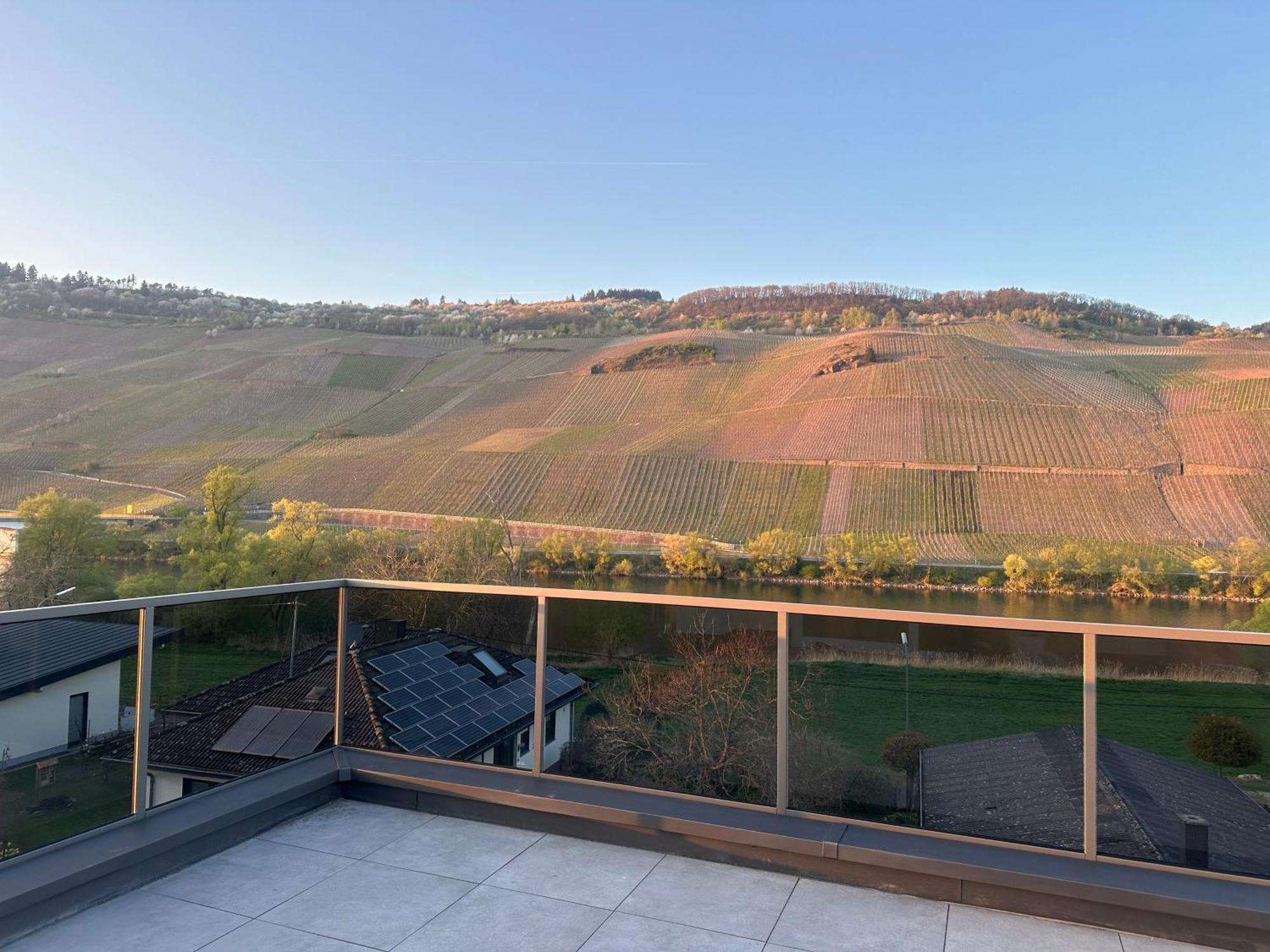 Lösnich Moselappartements By Weingut Marco Adamy מראה חיצוני תמונה