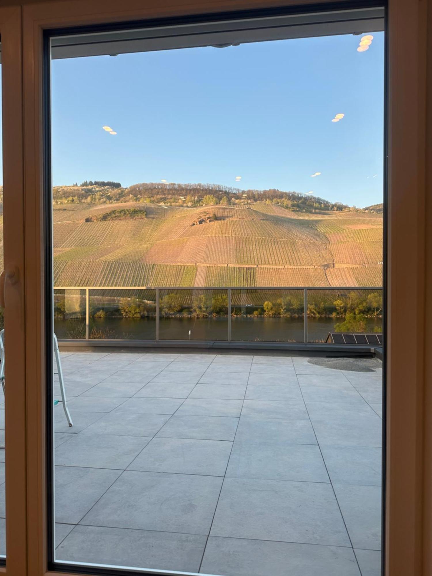Lösnich Moselappartements By Weingut Marco Adamy מראה חיצוני תמונה